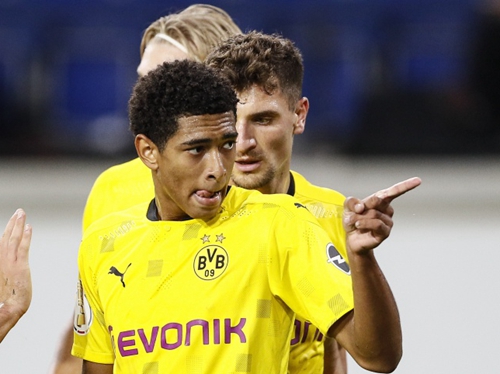 仅培养了选 仅培养了选